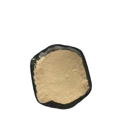 স্যালিসিলহাইড্রোক্সামিক অ্যাসিড